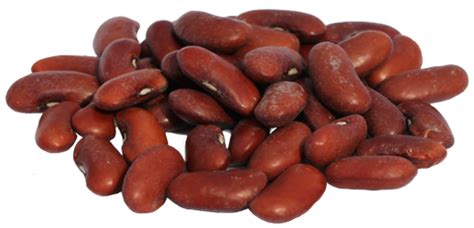 Kidney beans PNG transparent image download, size: 480x231px