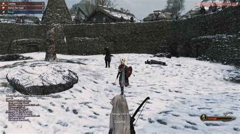 Caught em right above the eye : r/Bannerlord