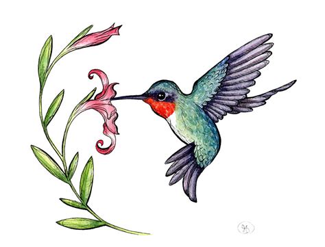 Free Hummingbird Clipart, Download Free Hummingbird Clipart png images ...