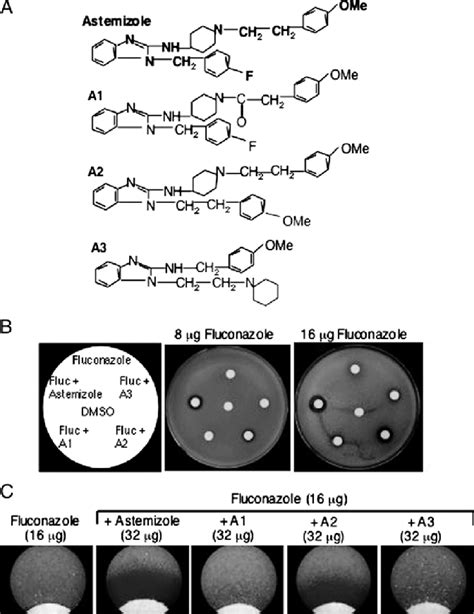 Astemizole and analogues of astemizole differ in their ability to ...