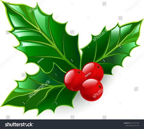 Holly Christmas Symbol Design Element Isolated Stock Vector (Royalty ...