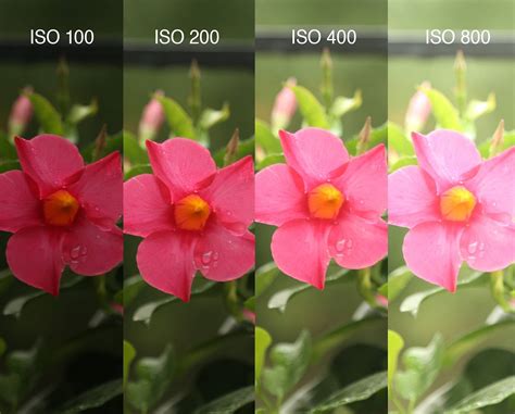 What Does ISO Stand for in Photography? ISO Meaning Camera Setting – Sunny 16