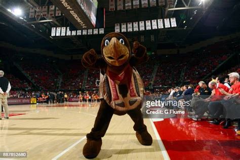 Bucknell Mascot Photos and Premium High Res Pictures - Getty Images