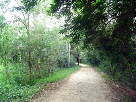 File:Kukkarahally lake jog path Mysore.JPG - Wikipedia