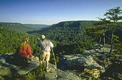 Exploring Hiking Trails In The Great Smoky Mountains