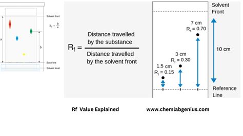 Xanthophyll Rf Value