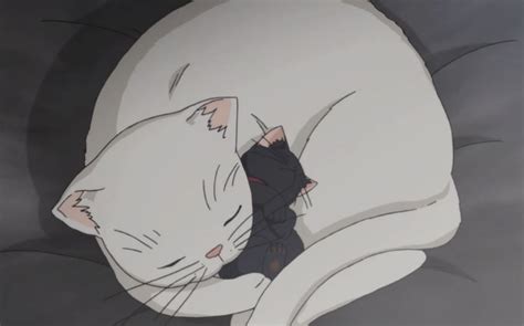 Top 20 Cute Anime Pets You Wish You Could Have! - MyAnimeList.net