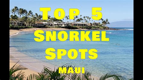 Top 5 Snorkel Spots Lahaina Maui. Best Snorkel Spots On West Maui ...