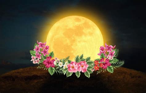 Full Flower Moon On May 18th: Let Go Of Your Fears & Embrace The Change ...