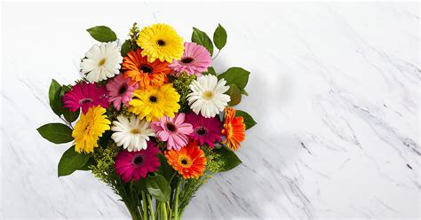 Best Gerbera Flower Arrangements | Gerbera Flower