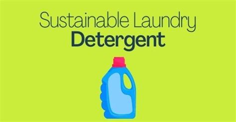 Top 8 (+1) Sustainable Laundry Detergent Brands | Whole People