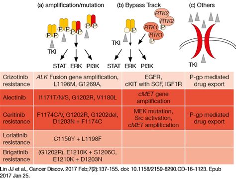 New insights into the treatment of ALK-mutant-positive NSCLC patients ...