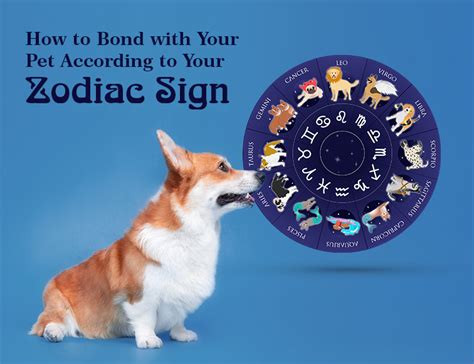 How to Bond with Your Pet According to Your Zodiac Sign