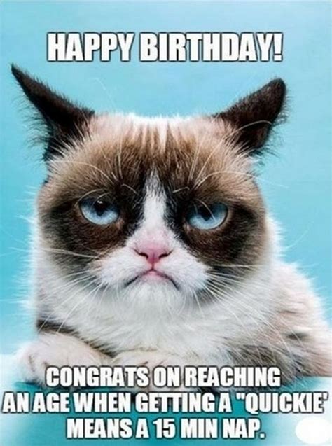 101 Funny Cat Birthday Memes for the Feline Lovers in Your Life | Funny grumpy cat memes, Cat ...