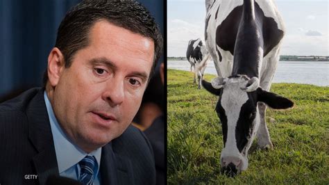 DevinCow Beats Devin Nunes | HuffPost Videos