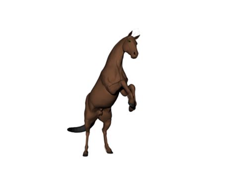 Stallion In The Pasture Jumps Around Wild Horses, Tail, Mane, Mare PNG Transparent Image and ...