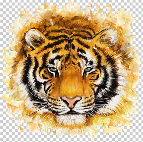 Bengal Tiger Felidae Painting Illustration PNG, Clipart, Animal ...