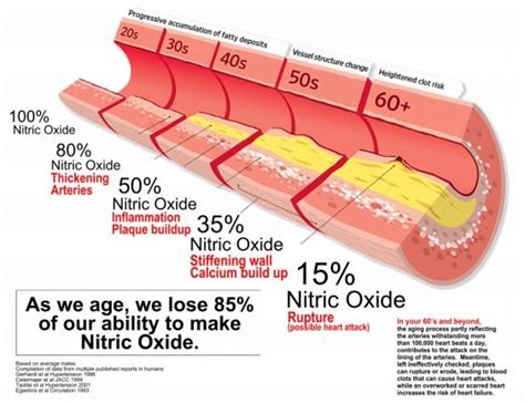 Nitric Oxide Testing - The Functional Medicine MD