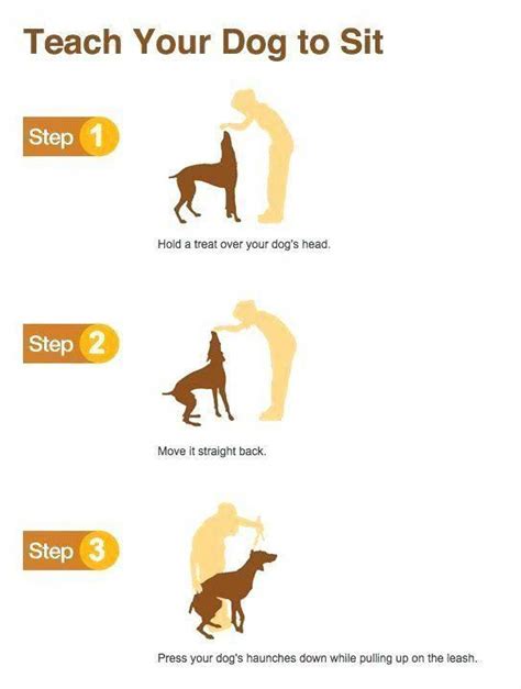 free dog training tips #dogtraining quick dog training tips 8461368304 #quickdogtrainingtips ...