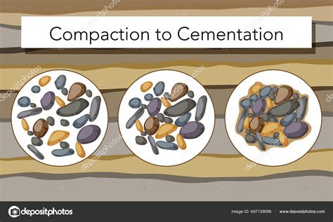 Process Compaction Cementation Education Illustration Stock Vector ...