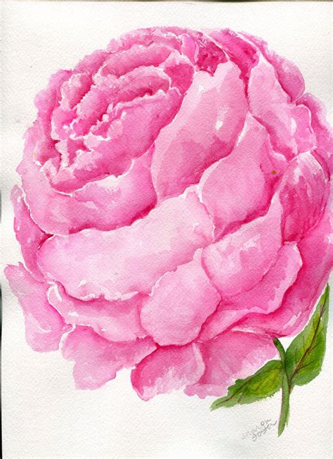 Pink Peony Watercolor Painting Original 9 x 12 | Etsy | Peony painting, Original paintings ...