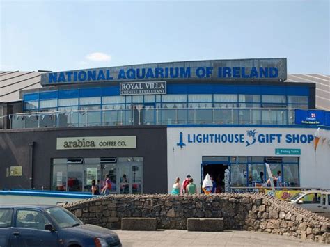 EMERALD ISLE - National Aquarium of Ireland, Galway | Ireland, Emerald ...