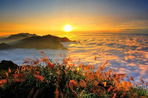 The five wonders of Alishan - Sunset | Alishan National Scenic Area