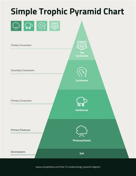 Pyramid Diagram Template