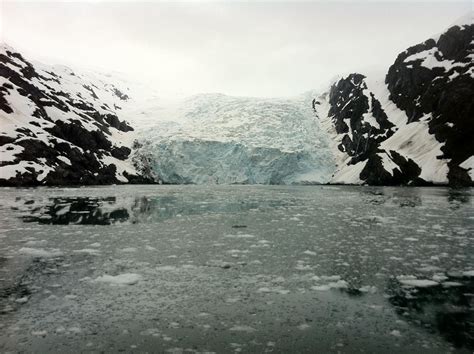 Aialik glacier Kenai Fjords National Park Anchorage Alaska. #Memories #hiking #camping #outdoors ...