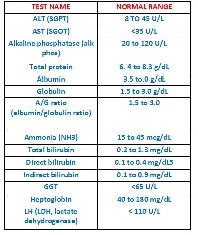 Blood Test Total Protein Normal Range : Reference Ranges For Blood ...