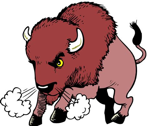 Water buffalo American bison Clip art - Cartoon Bison Cliparts png ...