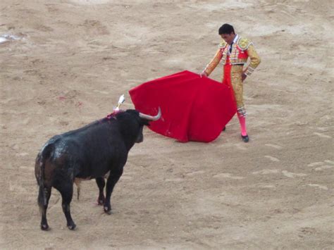 Dispatches from a Mexican Bullfight | VICE | United States