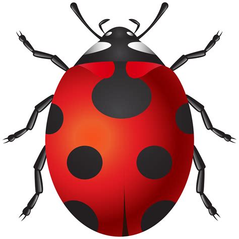 Ladybug PNG Clip Art - Best WEB Clipart