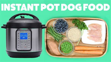 19 Instant Pot Dog Food Recipes You Can Make Easily - WowPooch