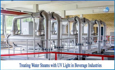 How Does Uv Light Disinfection Water | Shelly Lighting