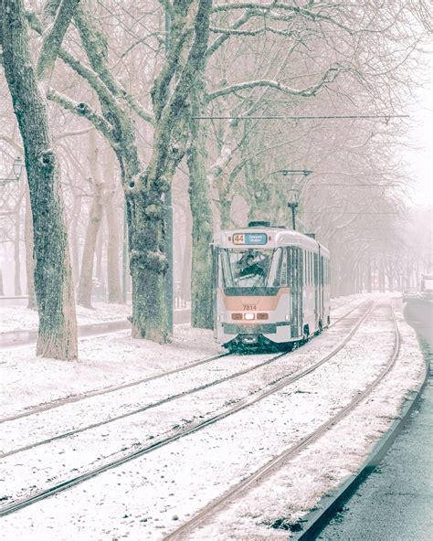 Belgium in Winter: Everything You Should Know | Dymabroad