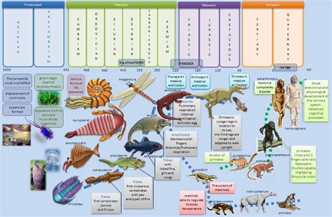 Educative diagrams: Geological Eras | Geology, Map, Diagram