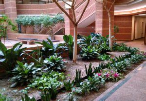 Indoor Atrium Garden: What Plants Do Well In An Atrium