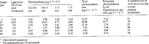 Synechococcus spp. Dawn-to-dusk rates of in situ primary production in... | Download Table