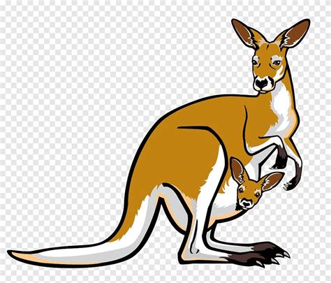 Cartoon kangaroo – Telegraph