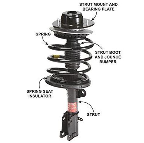 How to Replace Your Own Struts | The Family Handyman