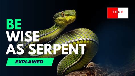 Be wise as serpent explained. - YouTube