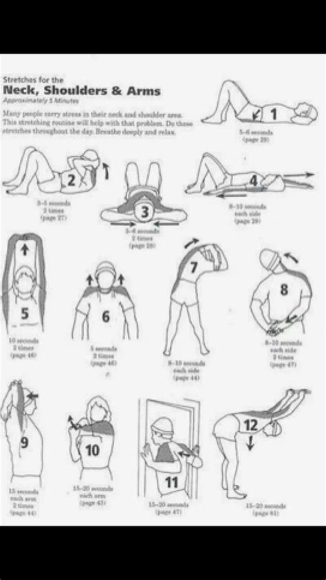 Neck Exercises, Body Stretches, Stretching Exercises, Golf Stretching, Dynamic Stretching, Neck ...