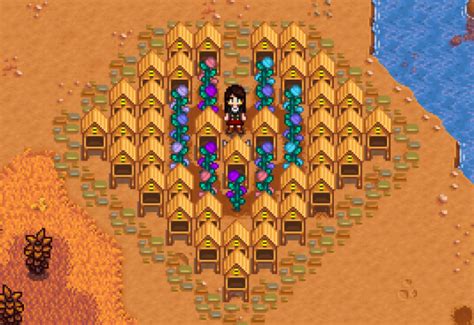 Flowers in Stardew Valley: The Beauty of the 4 Seasons - Stardew | Guide