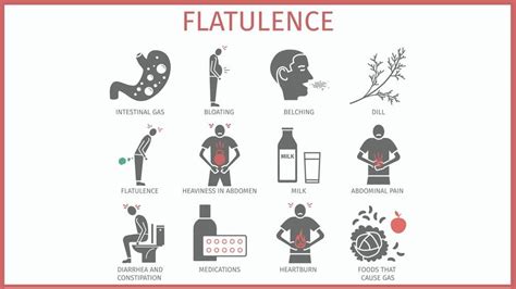 Persons Who Have Flatulence Experience