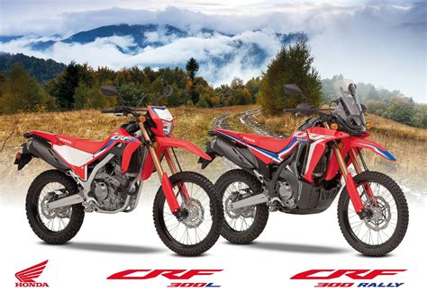 Honda CRF300L & CRF300 Rally updated for 2021 – lighter, more powerful - Motorcycle news ...