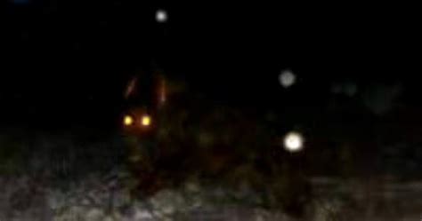 Okay so i was searching for some dogmen cryptid sightings and found this photograph, what do you ...