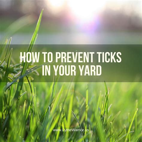 Controlling Ticks in Yard | Lyme Warrior.