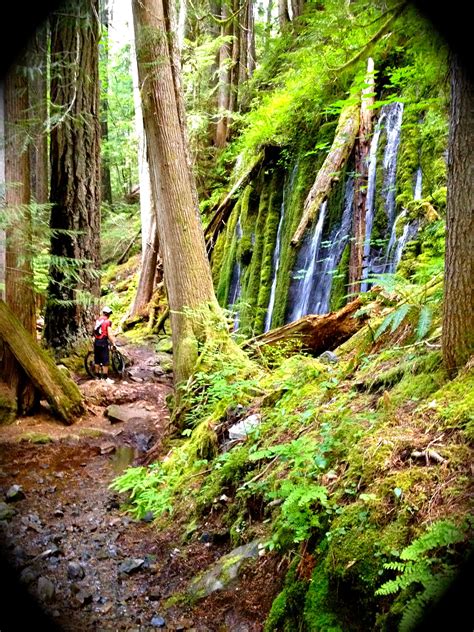 Umpqua National Forest. Complete with pristine trails, hot springs, waterfalls, an a river. I ...