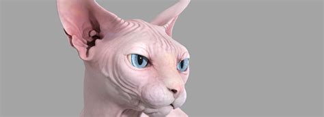 Sphynx Cat Pink Rigged - FlippedNormals